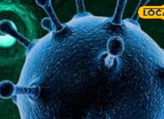 HMPV Virus Alert: भारत में मिले मामले के बाद पलामू जिले में जागरूकता अभियान शुरू