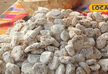 Makar sankranti 2025 market is buzzing with the sweet smell of tilwa demand increased for makar sankranti