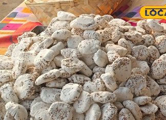 Makar sankranti 2025 market is buzzing with the sweet smell of tilwa demand increased for makar sankranti