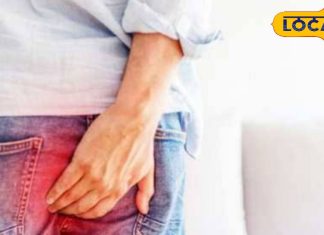 इन दुर्लभ जड़ी-बूटी में छिपा है बवासीर का इलाज, डॉक्टरों ने मानी हार…तो इस वैद्यराज ने किया सफल इलाज