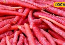 Carrot health benefits effective in many diseases including cancer keeps bp and uric acid under control – Bharat.one हिंदी
