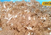 शरीर में एनर्जी भर देता है यह अनोखा हलवा! टेस्ट में भी होता है लाजवाब, जानें कहां मिलता है?