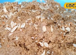 शरीर में एनर्जी भर देता है यह अनोखा हलवा! टेस्ट में भी होता है लाजवाब, जानें कहां मिलता है?