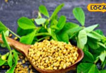 बीमारियों के काल हैं किचन के ये 5 मसाले…. ढीली नसों में फूंक देंगे जान