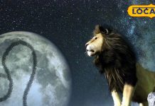 Singh Rashifal 10 January doors to success will open these zodiac get big good news in career success in dream of studying abroad Leo horoscope today