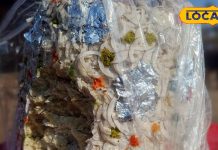 भरतपुर में छाया यूपी के ‘पंचमेवा’ मिठाई का जादू, स्वाद और सेहत के इस बेजोड़ मेल का बाजार में हाई डिमांड – Bharat.one हिंदी