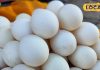 सावधान! कहीं आप भी तो घर नहीं ले आएं नकली अंडा? एक्सपर्ट से जानें असली और नकली की सही पहचान