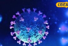 HMPV Virus Symptoms and easy prevention measures Know how different from Corona Advisory of Health Department in Himachal Pradesh