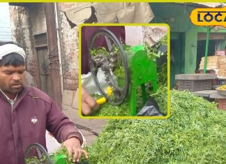 Chana ka saag available only in winters killer of constipation and diabetes powerhouse of nutrients