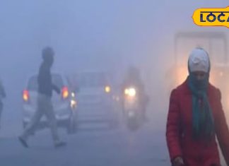 Home remedies to get rid of the disease consuming celery will keep your disease at bay celery is panacea for many diseases