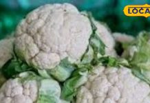 सर्दियों में ये लोग भूलकर भी न खाएं फूल गोभी, वरना आंतों में फैल जाएगा इंफेक्शन