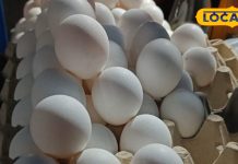 ठंड के दिनों में दवा बन जाता है अंडा, ऐसे लोगों को सबसे ज्यादा फायदा