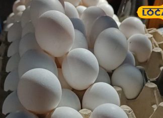 ठंड के दिनों में दवा बन जाता है अंडा, ऐसे लोगों को सबसे ज्यादा फायदा