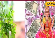 पौष पूर्णिमा पर तुलसी का ये उपाय धन से भर देगा घर, लक्ष्मी होंगी प्रसन्न, दूर होगी दरिद्रता, खत्म होगा कर्ज!