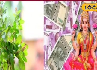 पौष पूर्णिमा पर तुलसी का ये उपाय धन से भर देगा घर, लक्ष्मी होंगी प्रसन्न, दूर होगी दरिद्रता, खत्म होगा कर्ज!