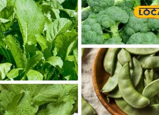 सर्दियों में संजीवनी हैं ये सब्जियां, कई रोगों का रामबाण, डॉक्टर ने गिनाएं फायदे