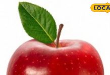 सर्दियों में खाएं स्वादिष्ट सेब का हलवा, सेहत और स्वाद का बेहतरीन कॉम्बो