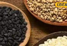 Health Tips: ऐसे करें सर्दियों में तिल का सेवन, इन बीमारियों में मिलेगा आराम! जानें एक्सपर्ट ने क्या बताया?