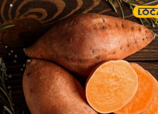 सर्दियों में स्वाद और सेहत का खजाना है शकरकंद, खाने के हैं चमत्कारी फायदे, इसमें है पोषक तत्वों का भंडार
