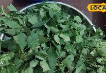 पाचन से दर्द तक, बथुआ के फायदे जानकर हैरान रह जाएंगे आप