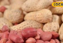 देखिए मूंगफली खाने के कितने लाभ, इसीलिए कहते हैं गरीबों का बादाम