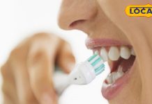 बस इतनी देर करें ब्रश, 99% लोग रोज करते हैं ये गलती, जानें दांत सफाई का सही फार्मूला, 100 साल तक रहेंगे मजबूत!