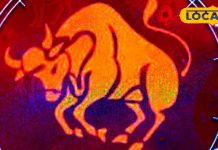 Vrishabh Rashi: वृषभ राशि वाले आज कर लें ये काम, लव लाइफ में आ जाएंगी खुशियां, बरसेगा खूब धन!