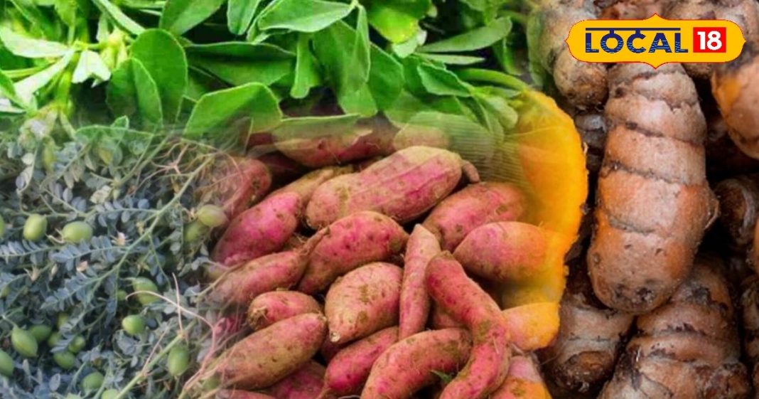 सर्दियों में सेहत के लिए है संजीवनी ये सब्जियां, सुपरफूड होने के साथ-साथ करती है लाइफ बूस्टर का काम – Bharat.one हिंदी