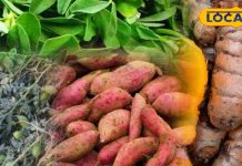 सर्दियों में सेहत के लिए है संजीवनी ये सब्जियां, सुपरफूड होने के साथ-साथ करती है लाइफ बूस्टर का काम – Bharat.one हिंदी