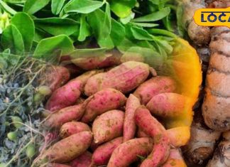 सर्दियों में सेहत के लिए है संजीवनी ये सब्जियां, सुपरफूड होने के साथ-साथ करती है लाइफ बूस्टर का काम – Bharat.one हिंदी