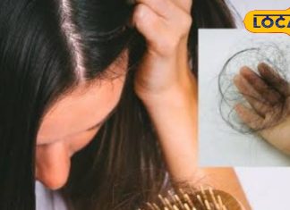 Hair Fall Prevention Tips: सर्दियों में टूटते बालों से परेशान? जरूर ट्राई करें ये खास घरेलू नुस्खे