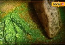 ठंड के मौसम में चटनी का असली स्वाद लेना है? घर लाएं सिलबट्टा और जानें इसके फायदे