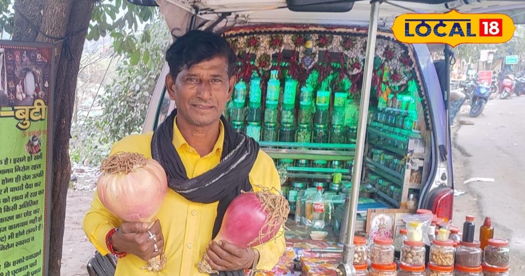 Ayurvedic 10 kg Pahadi onion brought from Uttarakhand panacea for all diseases Relief from arthritis and joint pain in week mountain pyaj Oil Benefits