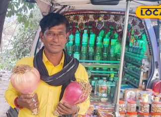 Ayurvedic 10 kg Pahadi onion brought from Uttarakhand panacea for all diseases Relief from arthritis and joint pain in week mountain pyaj Oil Benefits