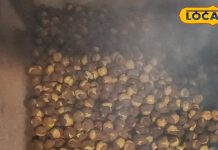 Bhune Chane Khane Ke Fayde: ठंड में रोज खाएं ये जादुई चीज…दिल बन जाएगा बाहुबली, हड्डियों से कभी नहीं आएगी कट-कट की आवाज!