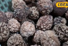 बड़े से बड़ा रोग ठीक कर सकता है ये छोटा सा दाना… बीपी के मरीजों के लिए है रामबाण!