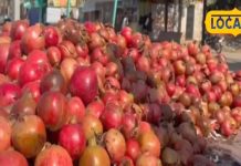 Anar khane ke fayde: टमाटर से भी सस्ता हुआ अनार, क्या आप जानते हैं इसके चमत्कारी फायदे, बीमारियां होंगी छूमंतर