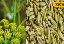 हर किचन मिल जाएगा ये मसाला, कई रोगों के लिए रामबाण, गिनते रह जाएंगे फायदे