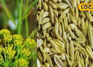 हर किचन मिल जाएगा ये मसाला, कई रोगों के लिए रामबाण, गिनते रह जाएंगे फायदे