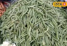 मटर ही नहीं मटर के छिलके में भी कई गुण, इन बीमारियों को करता है दूर