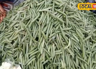 मटर ही नहीं मटर के छिलके में भी कई गुण, इन बीमारियों को करता है दूर