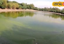 दिल्ली का टूरिस्ट स्पॉट बना यह पार्क, यहां खाने के लिए मिलती हैं सस्ती और लाजवाब चीजें, मात्र इतने रुपए होंगे खर्च