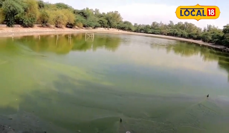 दिल्ली का टूरिस्ट स्पॉट बना यह पार्क, यहां खाने के लिए मिलती हैं सस्ती और लाजवाब चीजें, मात्र इतने रुपए होंगे खर्च