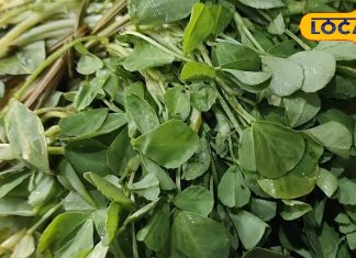 पहाड़ों में सिर्फ सर्दियों में मिलती है ये ताकतवर सब्जी, फायदे चौंकाने वाले