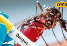 рд░рд╛рдЬрд╕реНрдерд╛рди рдореЗрдВ рд╕рд░реНрджреА рдХреЗ рдмреАрдЪ рдмрдврд╝ рд░рд╣реА рд╣реИ рдбреЗрдВрдЧреВ, рдорд▓реЗрд░рд┐рдпрд╛ рдХреЗ рдорд░реАрдЬреЛрдВ рдХреА рд╕рдВрдЦреНрдпрд╛, рдЗрди рдЙрдкрд╛рдпреЛрдВ рдХреЛ рдХрд░рдХреЗ рдмрдЪ рд╕рдХрддреЗ рд╣реИрдВ рдЖрдк!