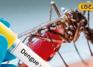 राजस्थान में सर्दी के बीच बढ़ रही है डेंगू, मलेरिया के मरीजों की संख्या, इन उपायों को करके बच सकते हैं आप!