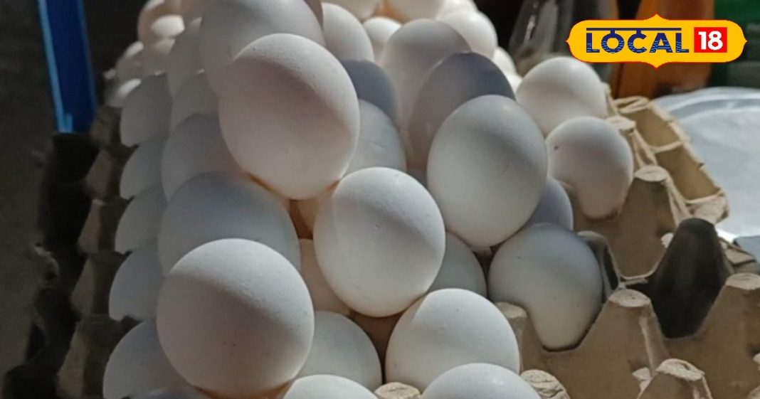 अंडा शाकाहारी है या मांसाहारी, किस अंडे में कितना प्रोटीन, जानें सब कुछ