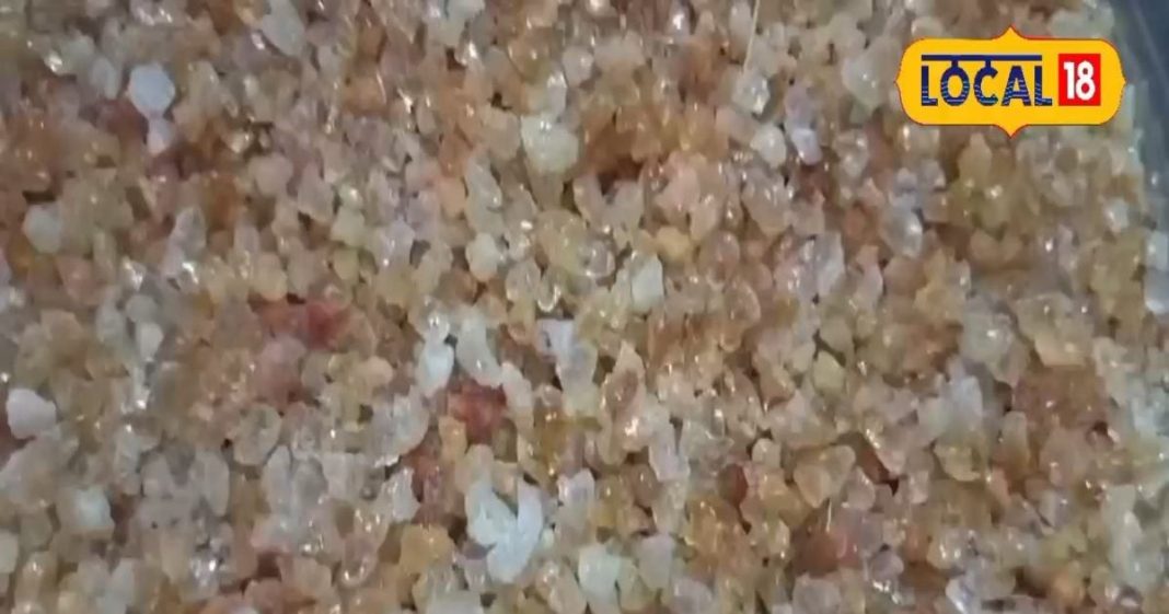 डिलीवरी के बाद नहीं होगी कमजोरी, हड्डियों को झट से मजबूत करता है ये गोंद, ऐसे बनाए स्वादिष्ट लड्डू