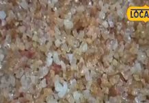 डिलीवरी के बाद नहीं होगी कमजोरी, हड्डियों को झट से मजबूत करता है ये गोंद, ऐसे बनाए स्वादिष्ट लड्डू