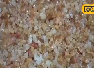 डिलीवरी के बाद नहीं होगी कमजोरी, हड्डियों को झट से मजबूत करता है ये गोंद, ऐसे बनाए स्वादिष्ट लड्डू